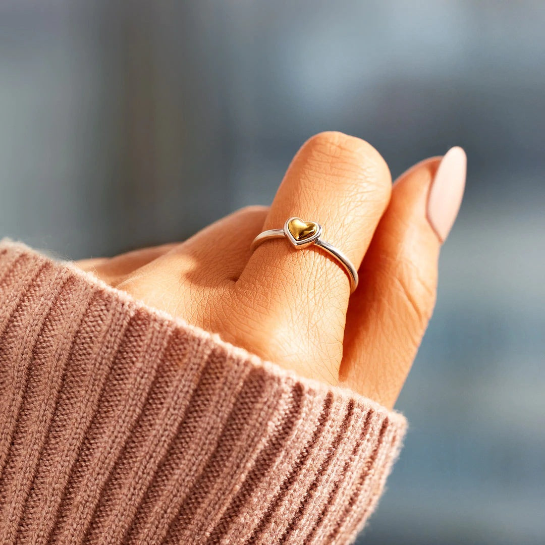 Dual-Tone Affection: Sterling Silver Two-Color Love Ring