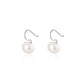 925 Silver Freshwater Pearl Stud Earrings