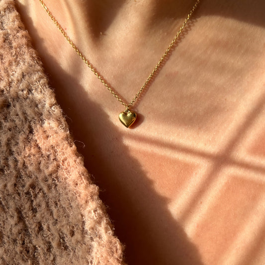 Elegant women’s necklace with angel wings design gold plated