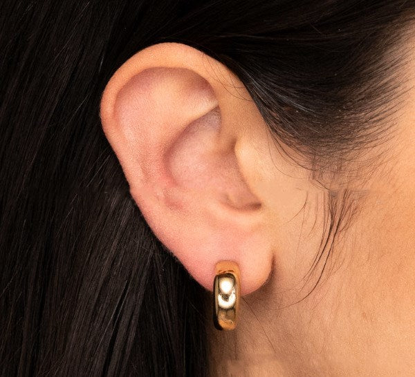 Elevate Your Style with French-Inspired C-Shaped Stainless Steel Earrings